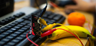Fruit powered electronics
