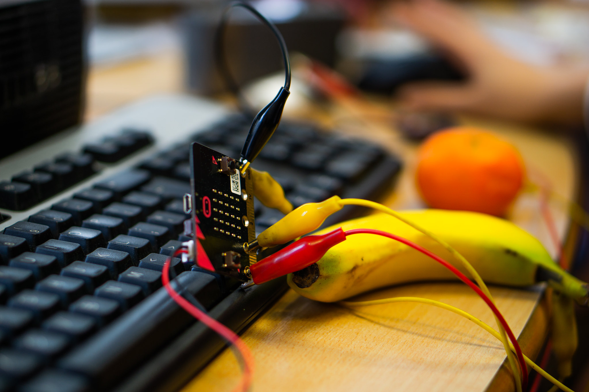 Fruit powered electronics