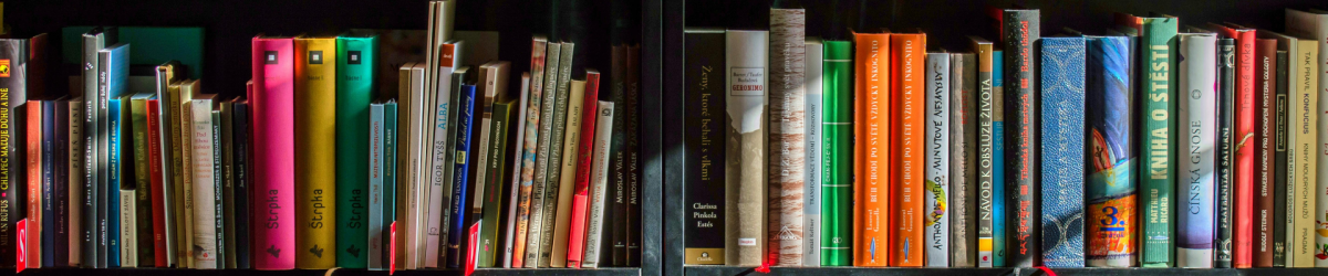 Webinar: Home Library Service
