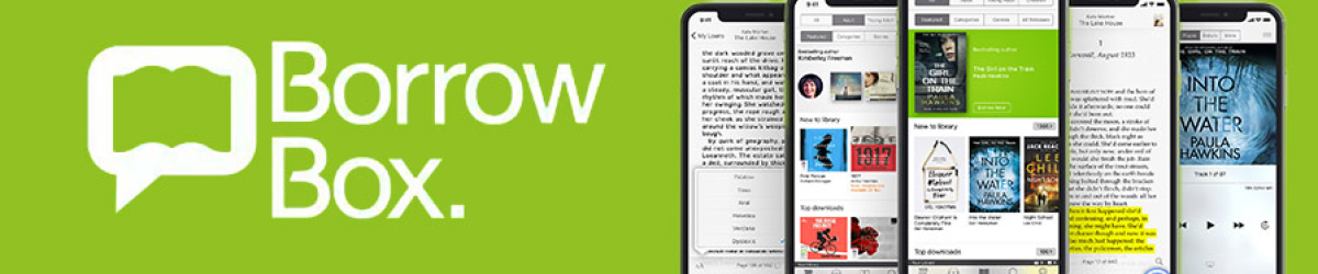 Webinar: BorrowBox accessibility features in partnership with RNIB