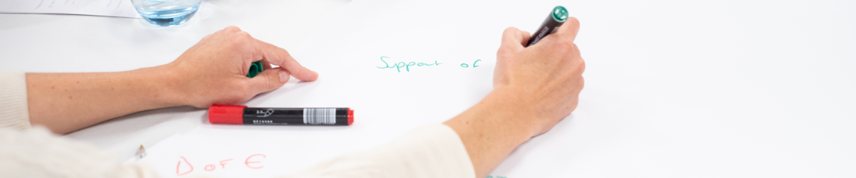Webinar: Creative approaches to evaluation: Showcasing impact with imagination