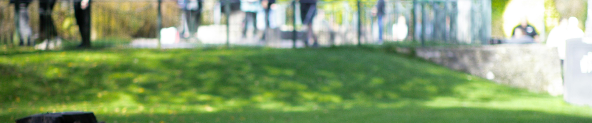 Webinar: Getting involved in Pride In Place (Part 1) 