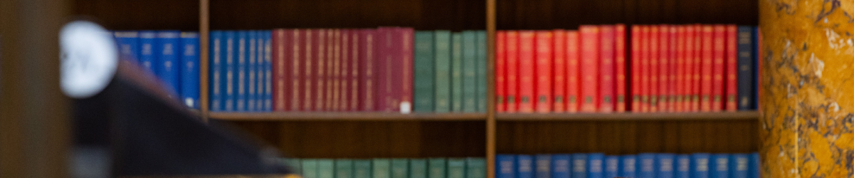 Webinar: Libraries Development Framework: building effective partnerships and creatively generating resources