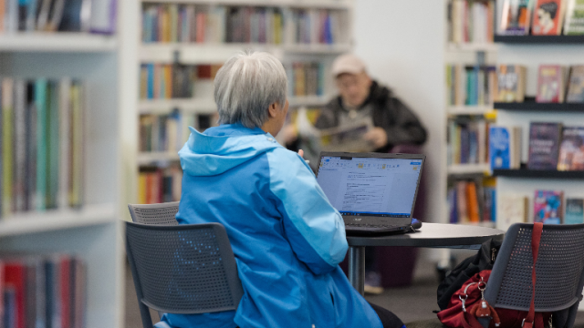 Webinar: English Libraries Insights