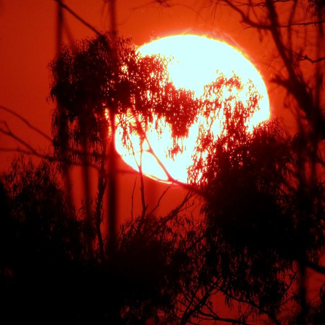 A blood red sunset