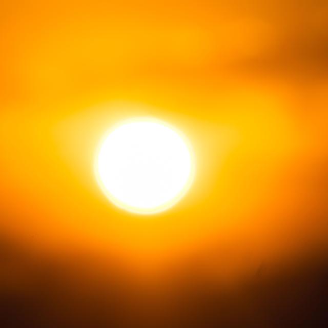 The sun